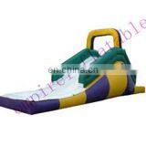 Best Sale Customized Inflatable Pool Slide for Children WS027