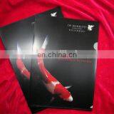 Custom Design a4 Size Plastic File Folder Shenzhen