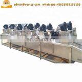 Bubble Type Fruit and Vegetable Washing Machine , Clean Vegetable Processing Line thumbnail-4