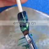 Aurora CatEye Gel Nail Art Match With Magnet