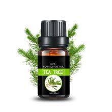 Tea Tree Essential Oil For Skin Body Aroma Humidifier Diffuser In Bulk Price Pure Natural thumbnail-5