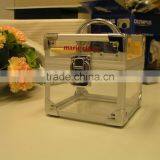 2013 New Design Acrylic Carry Case