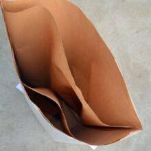Kraft Paper & Plastic Packaging Bags thumbnail-1