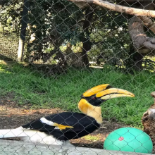 Stainless Steel Zoo Mesh for Zoo Fencing With 3mm Wire Gauge thumbnail-4