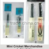 Promotion Cricket product