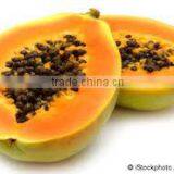 Suvimie Papaya thumbnail-1