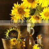 3D Picture of Beautiful Flowers 3D Lenticular Photo 3D PEP Decoration Picture