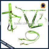 Endurance Soft PVC/TPUwebbing Horse Bridle and Halter Quality Choice thumbnail-5