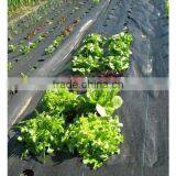 PP Woven Weed Mat for Protect Plants,weed Control Fabric,woven Plastic Mat thumbnail-2