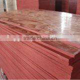 Shandong Plywood Manufacture thumbnail-1