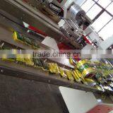 Kitchen Sponge Packing Machine DCTWB-250D
