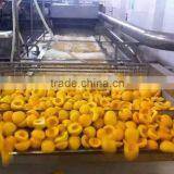 Hot Sale Lowest Price Canned Fruit Canned Yellow Peach thumbnail-4