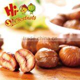 Natural Sweet Roasted Inshelled Chestnut Snacks thumbnail-6