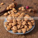 100% Nature Sweet Apricot Kernels thumbnail-2