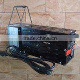 Indoor Horticulture Magnetic Ballast