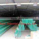 Durable Battery Chicken Farm Cage thumbnail-1