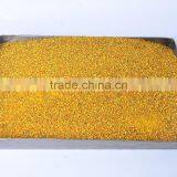 Multicolor Bee Pollen thumbnail-3