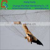 <b>bird mist net</b>s Bird Netting For Sale