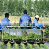 rice transplanter