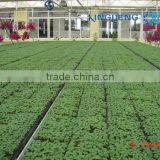 Flower And Vegetable Growing Greenhouse thumbnail-2