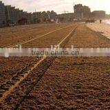 Best Price Good Quality Tractor Use Beach Machine, Beach Cleaner, Beach Sweeper With CE Certification thumbnail-2