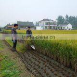 Multifunctional 4GL100 Mini Wheat Harvester Head thumbnail-4