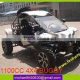 1100cc Sport Buggy thumbnail-1