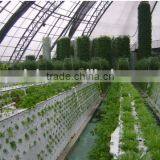Professional Greenhouse Project Commercial Hydroponic Systems thumbnail-1