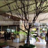 Q012707 Dry Tree for Decoration Table Centerpiece Tree Decoration Artificial Dry Tree