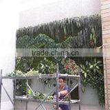 2017 China Wholesale China PVC Vertical Green Wall and Plant Wall thumbnail-5