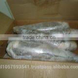 Patagonian Toothfish or Real Chilean Seabass thumbnail-4