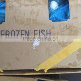 Land Frozen Fresh BQF Size 100-200g Pacific Mackerel ( Scomber Japonicus ) thumbnail-3