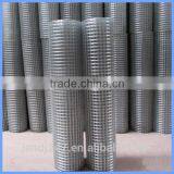 Galvanized Welded Wire Mesh From Guangzhou Supply thumbnail-5