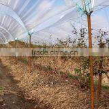 Agricultural Prefab Anchor Galvanized Sube Greenhouses Aeroponics thumbnail-6