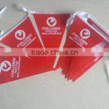 String Pennant Bunting Flag thumbnail-1