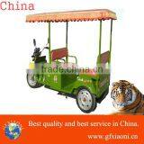 @ Electric Tricycle Standing thumbnail-1