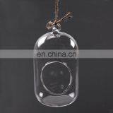 Glass Terrarium Handling Clear Glass Globe Globe Terrarium Flower Vase