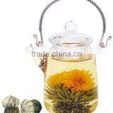 Blooming Tea Glass Teapot Herbal Tea Set