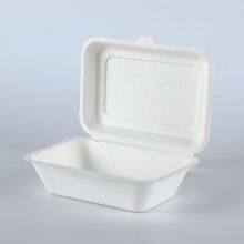 New Hot Disposable Biodegradable 350ML Bagasse Food Box Take Away Sugarcane Container thumbnail-4