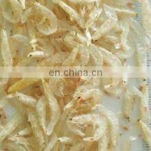 Dried Baby Shrimp With High Quality From Viet Nam small size ready for sales food ingredient
