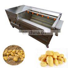 Automatic Ginger Washer and Peeler Machine Cassava Wash and Peel Machine thumbnail-4