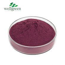 Plant Factory Hot Sale Low Price No Additives Food Grade Natural Elderberry Extract