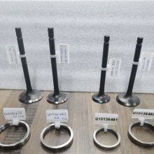 Válvula de escape do motor C2.2, inserção U10136460 10136460 para CAT thumbnail-5