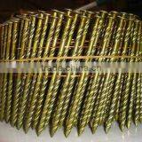 Screw Shank Coil Nail Factory