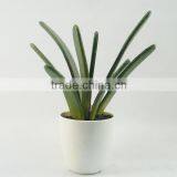 Cheap Artificial Plants Artificial Aloe Wholesale thumbnail-1