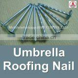 China 1 Lb. Electro Galvanized Corrugated Roofing Nails