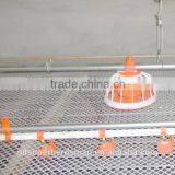 Poultry Feeders Drinkers