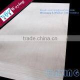 f4 Star Plywood thumbnail-4