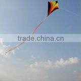 All Kinds of Colorful Diamond Kite
