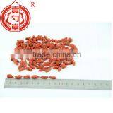 Lycium Barbarum thumbnail-4